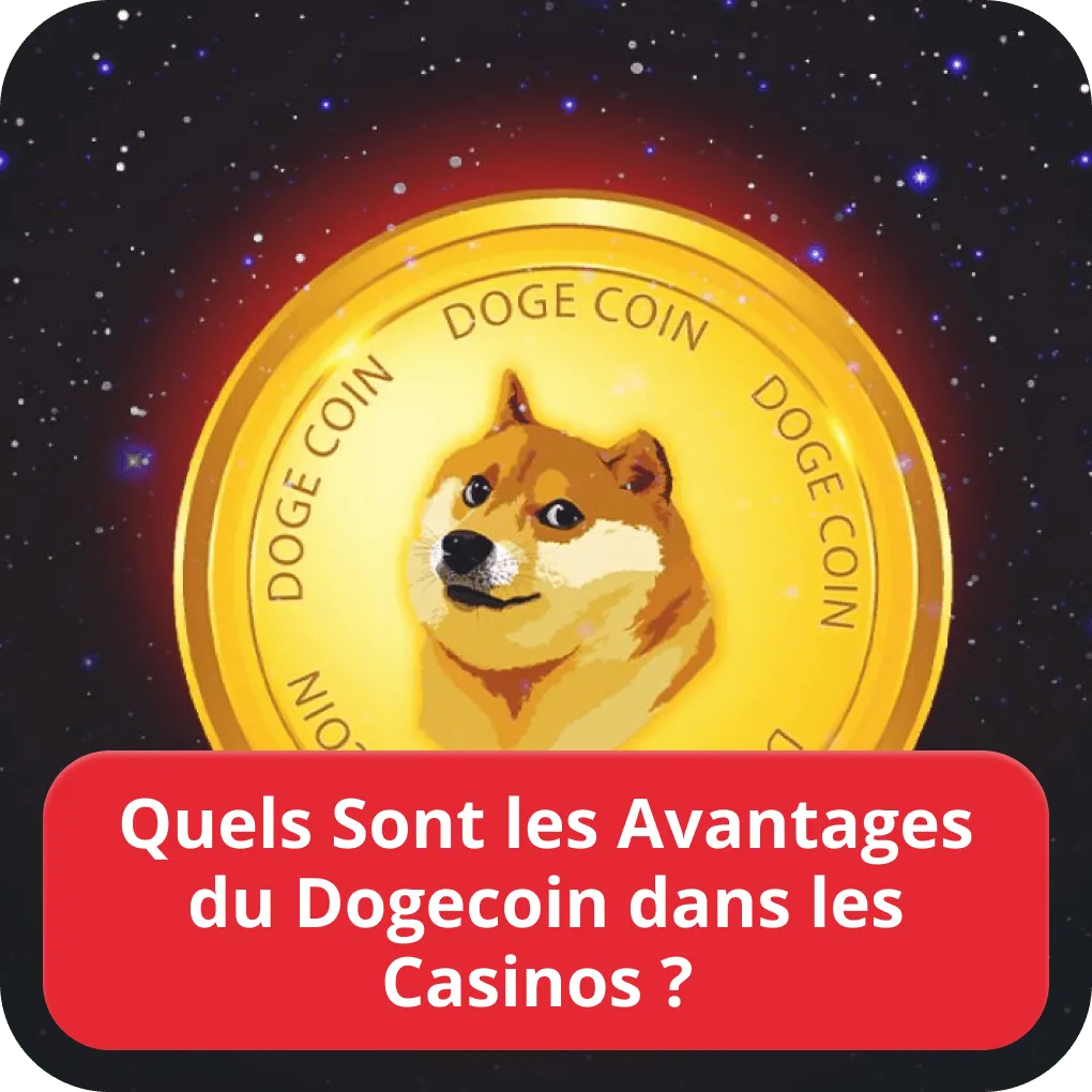 Quels Sont les Avantages du Dogecoin dans les Casinos ? 