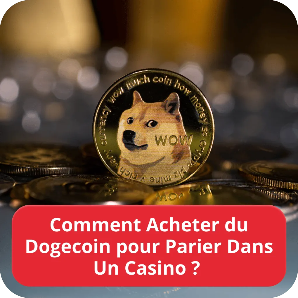 Comment Acheter du Dogecoin pour Parier Dans Un Casino ? 