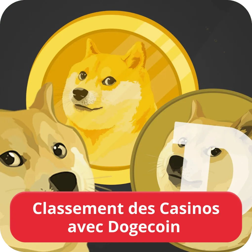 Classement des Casinos avec Dogecoin 