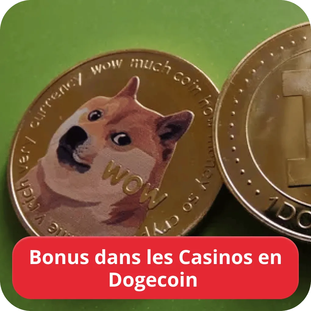 Bonus dans les Casinos en Dogecoin 