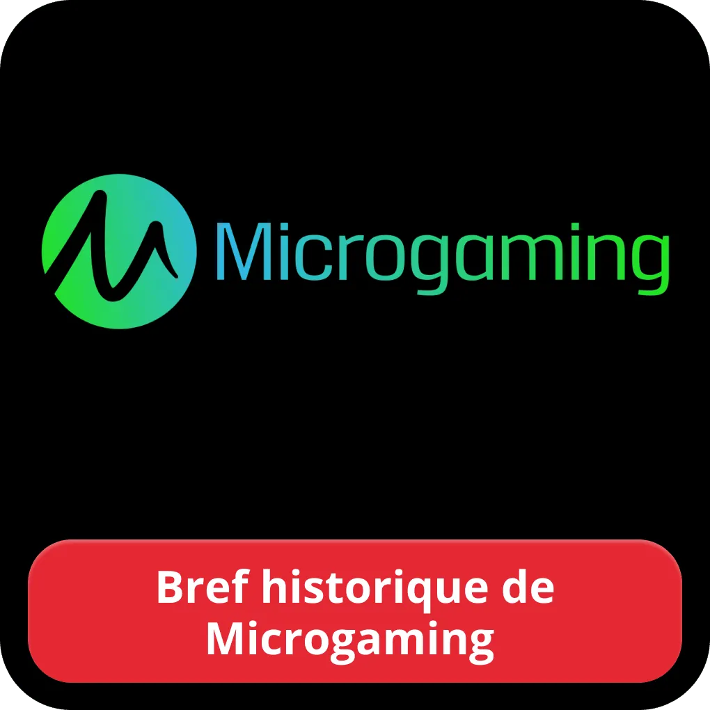 Bref historique de Microgaming 