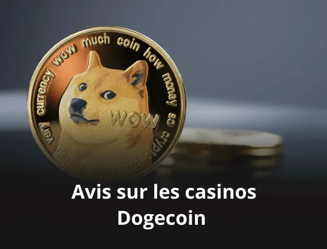 Avis sur les casinos Dogecoin 